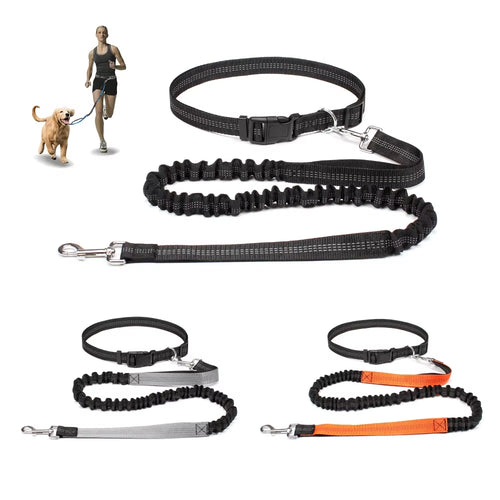 Adjustable Dog Lead with Waist Belt