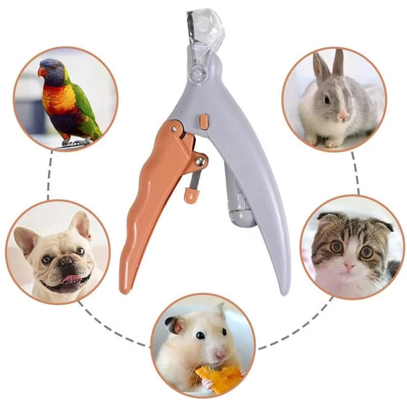 Illuminated pet nail clipper cutting area