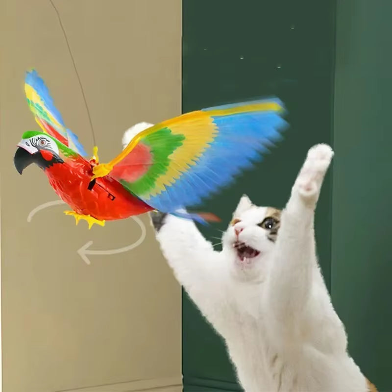 Interactive parrot cat toy detail