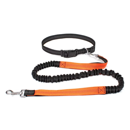 Adjustable Dog Lead with Waist Belt